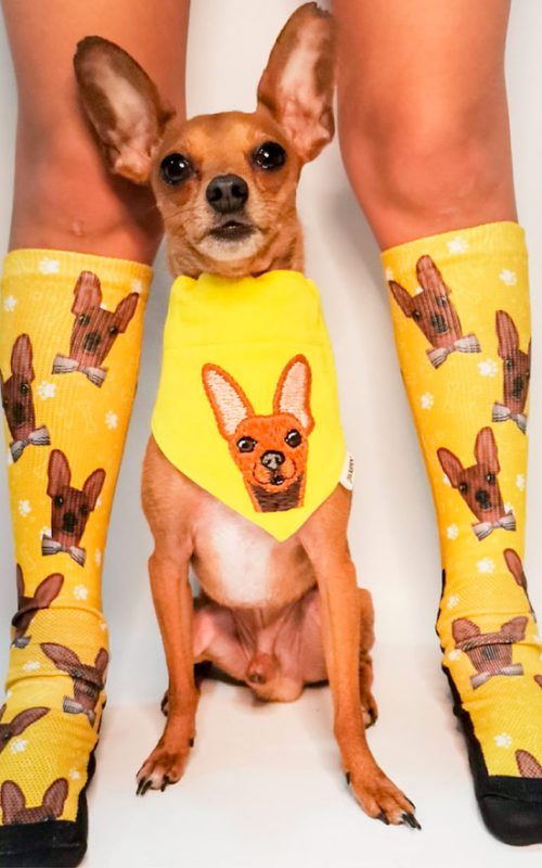 medias-con-foto-perro